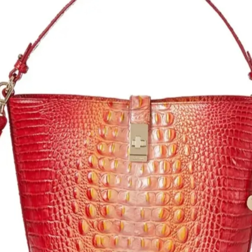 🧡▪️ Brahmin ▪️melbourne Shira infusion ombre bucket shoulder bag